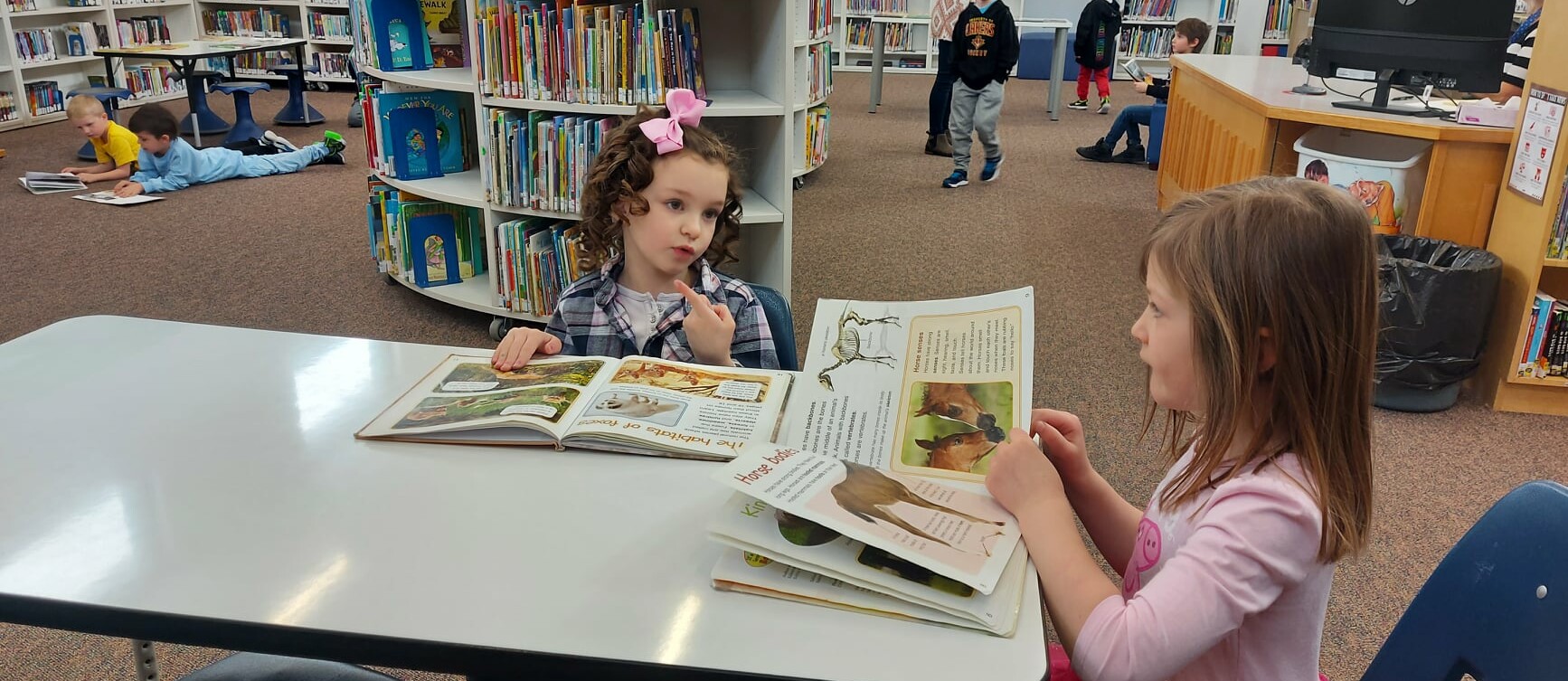 Students sit at desk in library reading books